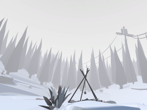 snowy forest