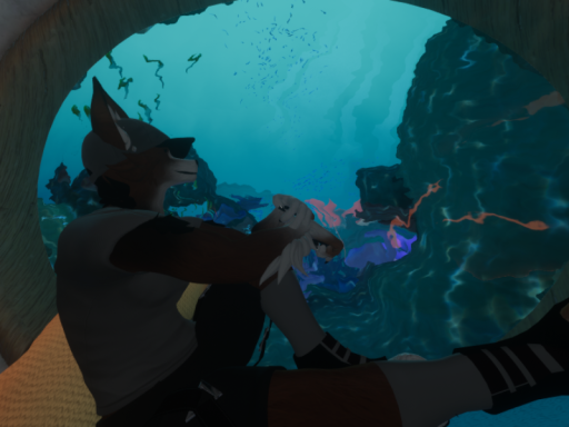 Drew's Aquaria Hidewaway
