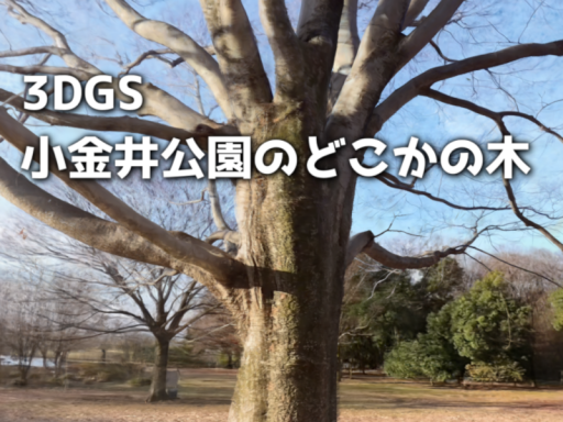 3DGS小金井公園のどこかの木 ⁄ A Tree Somewhere in Koganei Park