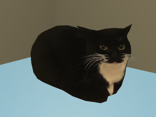 Maxwell The Cat