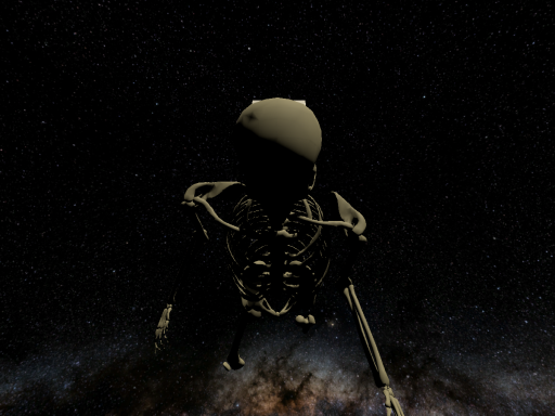 The Skeleton