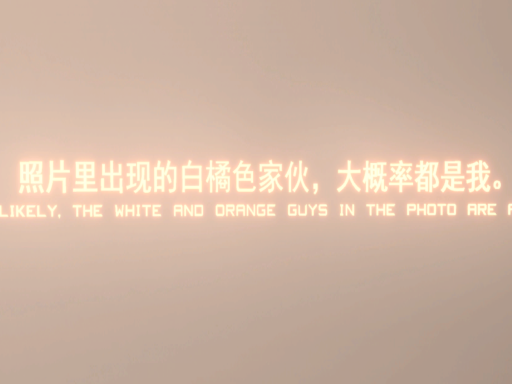 Record 记录