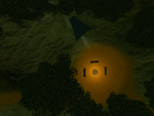 The Forest