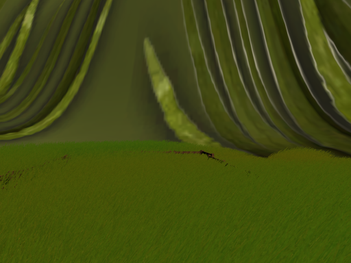 observe the grass