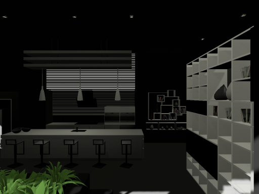 Neko's Modern House