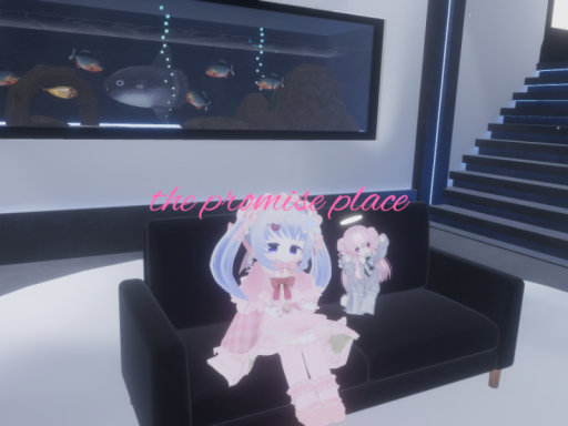 the promise place
