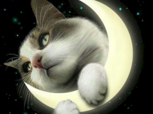 moon home