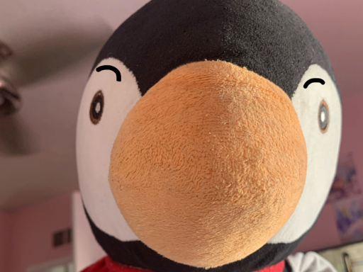 Penguino