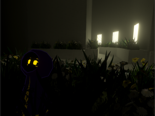 A Liminal World