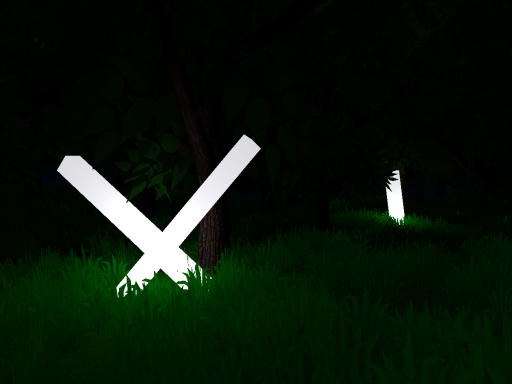 Night Forest