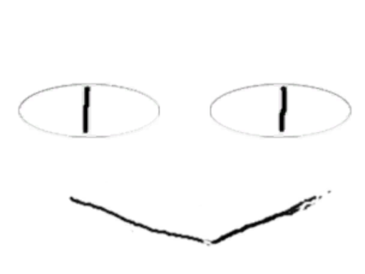 AMAZOOK VER 0․01