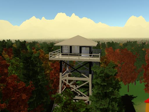 Autumn Forest
