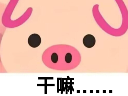 PigRoom