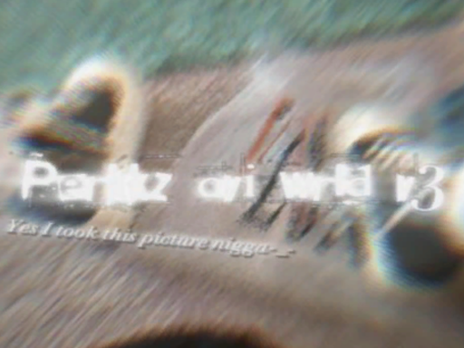perkkz wrld v3
