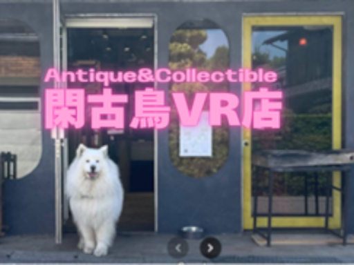 閑古鳥VR店