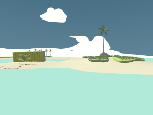 the island