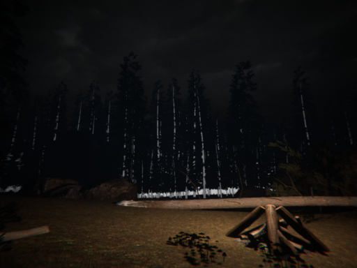 Camping trip