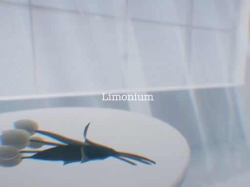 Limonium