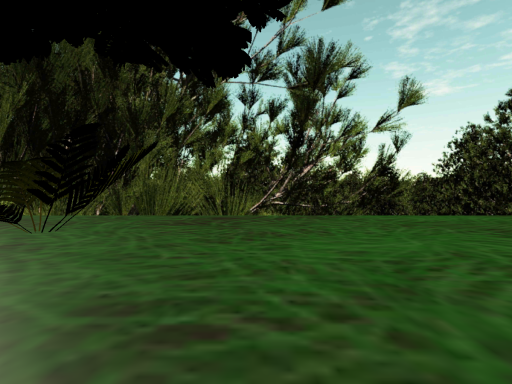 Forest