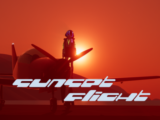 Sunset Flight