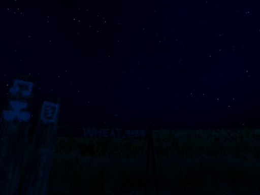 W h e a t （Night）