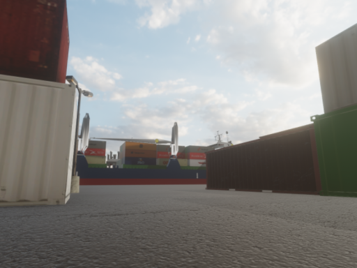 Born Free ｜ Dexter S1F （Cargo Area）