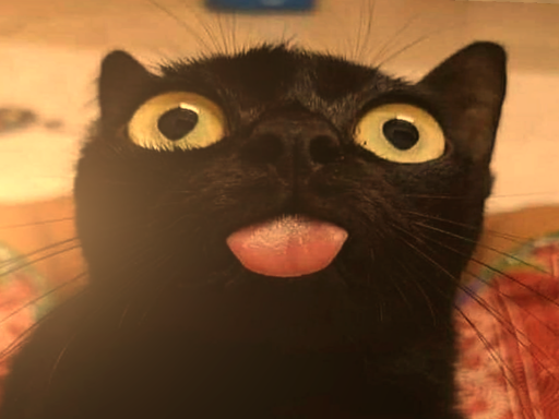SMALL YEETǃ