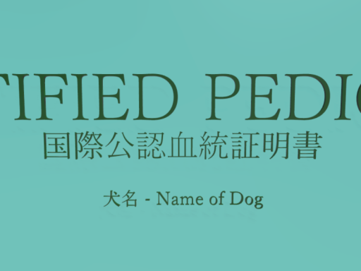 Just 国際公認血統証明書