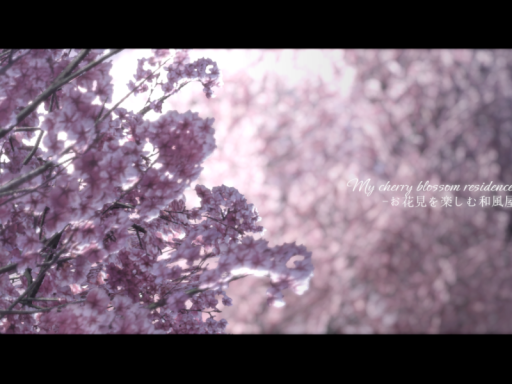 my Cherry blossom Residence - お花見を楽しむ和風屋敷 -