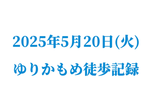 20250520 ゆりかもめ徒歩記録