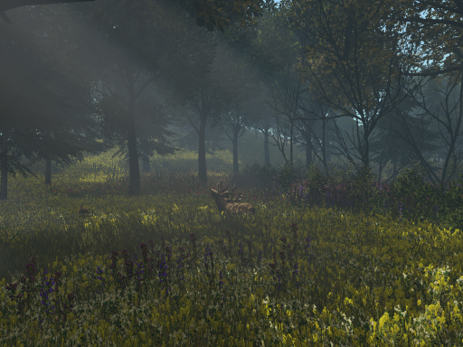 Forest ＆ Animals World