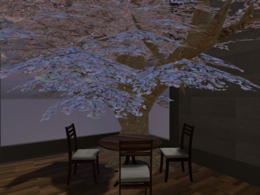 春よ、来い （House）
