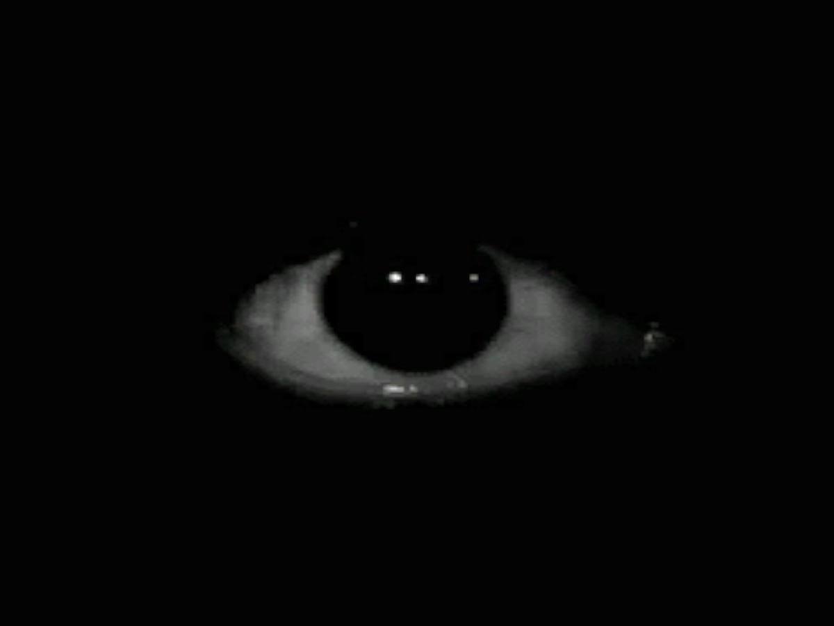 Horror Darkness Escape