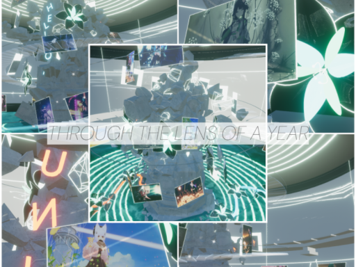 Through the lens of a year
