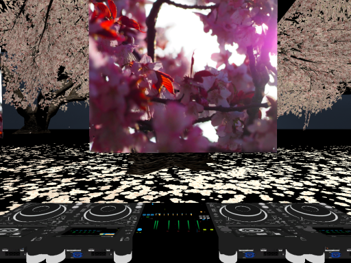 DJ sakura