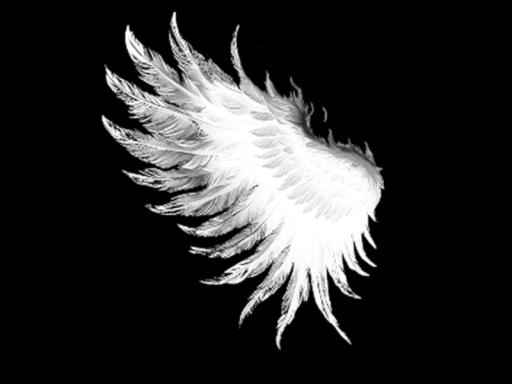 Bar Wing