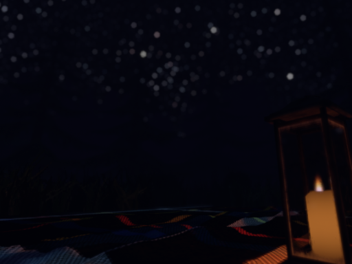 Stargazing Forest
