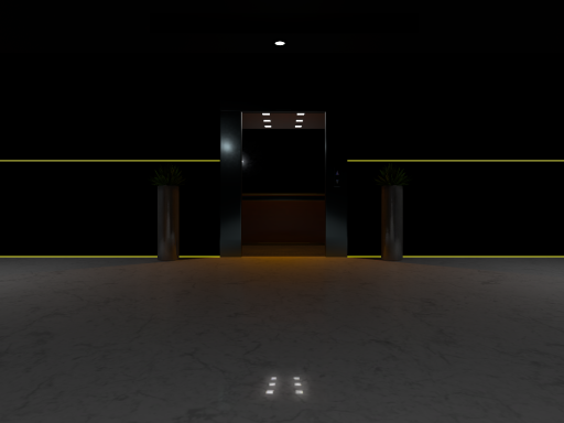 NMZS's Party Home