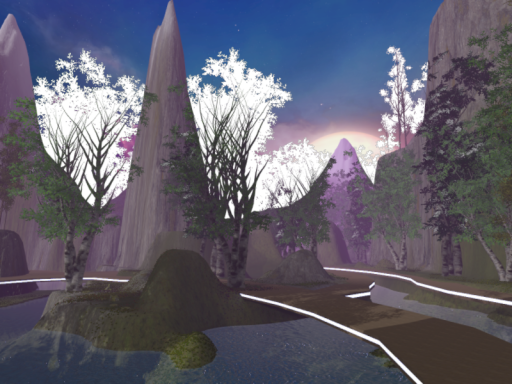 Forest Trails