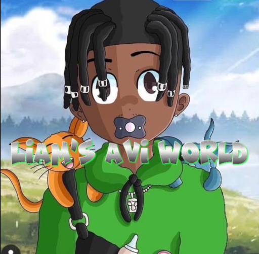 Liam's Avatar World