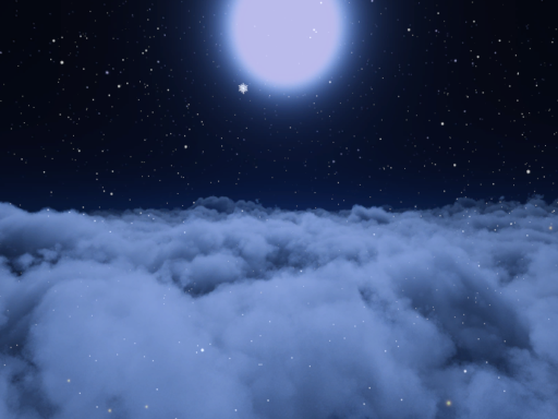 Winter night