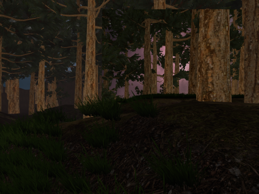 Moonlight forest