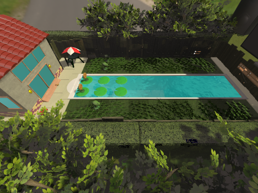 Plants Vs․ Zombies Pool Level