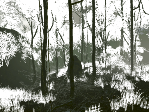 Forest Day
