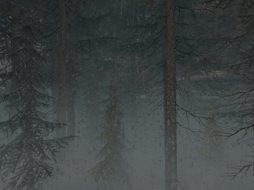Rain