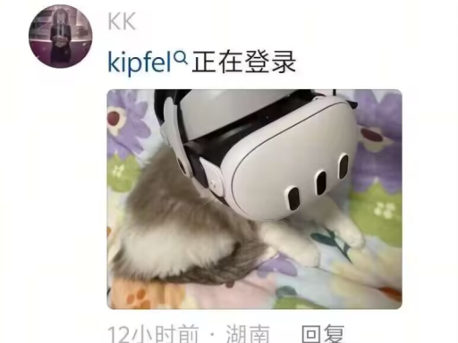 小菲模型房