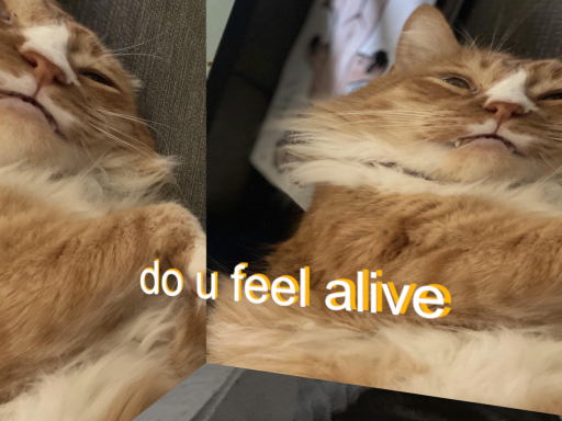 CatCube