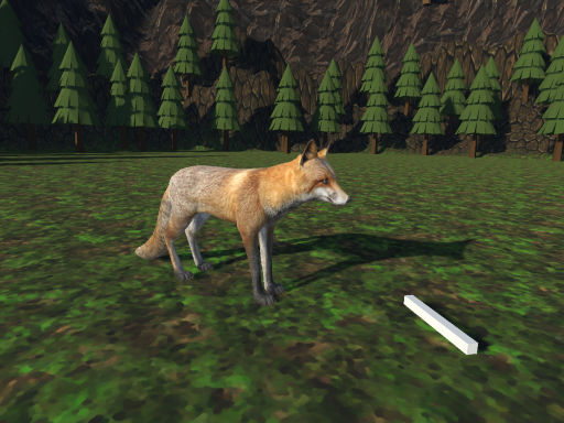My Fox