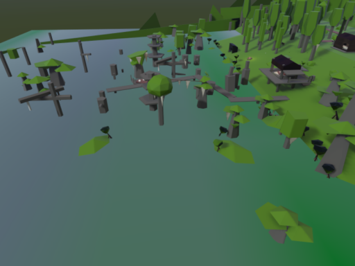 Low poly bayou swamp