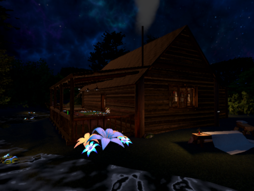 Hidden Cabin
